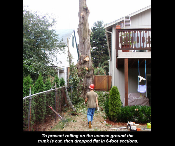 Stump grinding equipment removing a stump after a tree removal