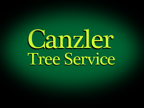 Canzler Tree Services photo montage of completed tree work